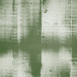 The Nature of Human Nature (LP)