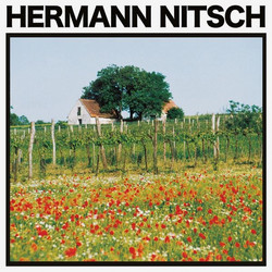Traubenfleisch (2LP)