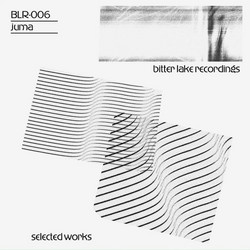 Selected Works (2LP)