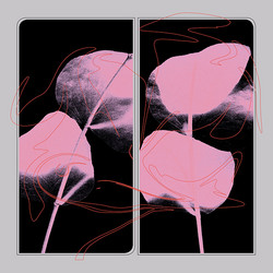 2 (LP)