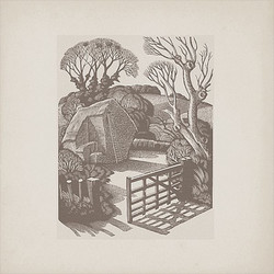 Time Out of Mind (LP)