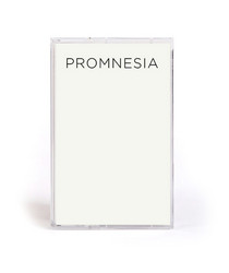 Promnesia
