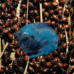 Death And Spring (LP)