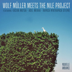 Nouvelle Ambiance: Wolf Muller Meets The Nile Project