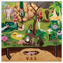Shaped by Place (LP)