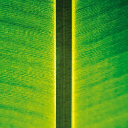 One Instrument Sessions 03 (12")