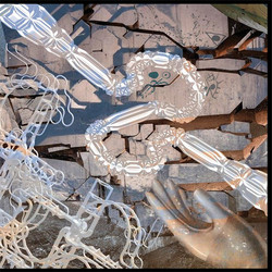 Sonic Fermentations (LP)