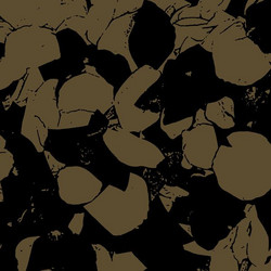 Pitched Intervention (LP)