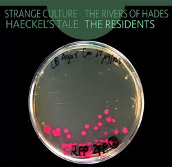 Strange Culture / Rivers of Hades / Haeckel's Tale (2CD)