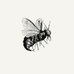 Beelzebub (LP)