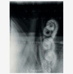 Assault and Mirage (LP)
