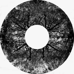 MMXX-05 (Etched Crystal Clear LP)