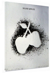 Silver Apples