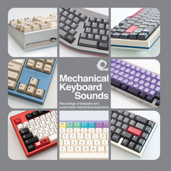 Mechanical Keyboard Sounds: Recordings of Bespoke and Customized Mechanical Keyboards (Lp)