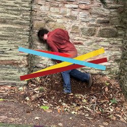 Domestic Economy (2LP)