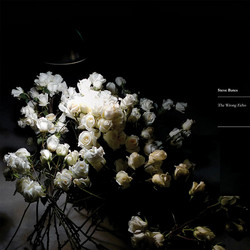 The Wrong Echo (LP)