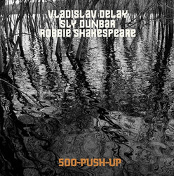 500-Push-Up (LP)