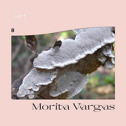 8 (LP)