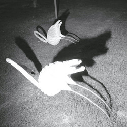 A Mimesis Of Nothingness (LP)