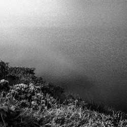 Harbors (LP)