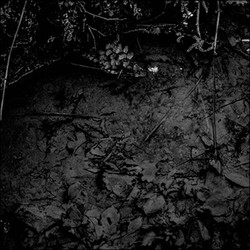 In Between (2 CD)