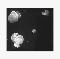 Dyspnea (parts I-IX)