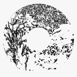 MMXX-10 (Etched Crystal Clear LP)