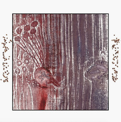 Russian Heterodoxical Songs (LP)