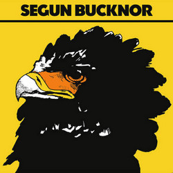 Segun Bucknor (LP)