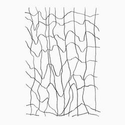 Studies / Studien / Études (LP)