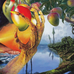 A Morphology of Wonders (2LP)
