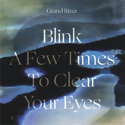 Blink A Few Times To Clear Your Eyes (LP)