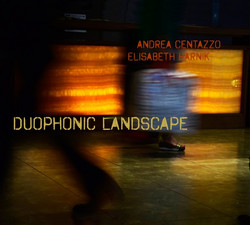 Duophonic Landscape