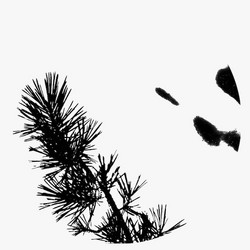 Browner - MMXX-12 (Etched Crystal Clear LP)