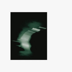 Parallel Voices (LP)