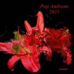 Pop Ambient 2021 (LP)