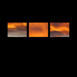 The Suncrows Fall And Tree (Orange LP)