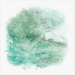 Monocoastal (10th Anniversary Edition) - LP, clear