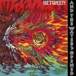 And the Waters Opened (LP)