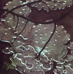 Armaghedon (LP)