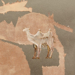 Corsano, Maranha & Youngs (LP, white vinyl)