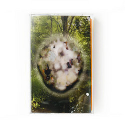 Face First in the Entangled (Tape)