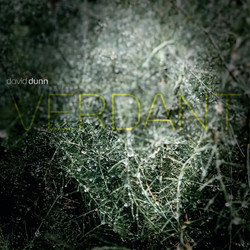 Verdant