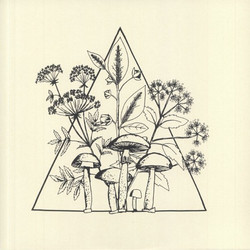 Cassette (LP)