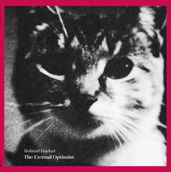 The Eternal Optimist (LP)