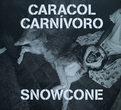 Snowcone