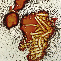A Journal of Elasticity (LP)