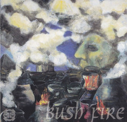Bush Fire