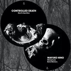 Split (Picture Disc LP)