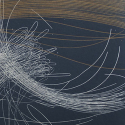 Dissection Lente d’un Piano Rouillé (LP)